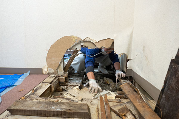 Quality Water Damage Restoration Service