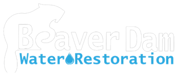 Beaver Dam Water Restoration, TX